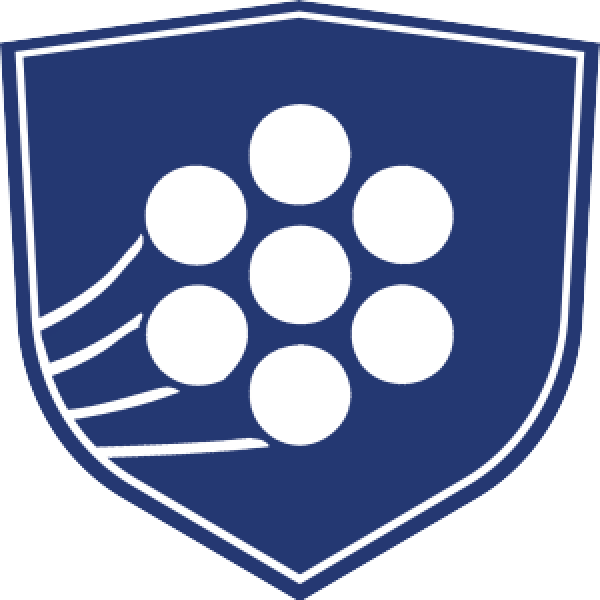 Sentinel_Shield graphic