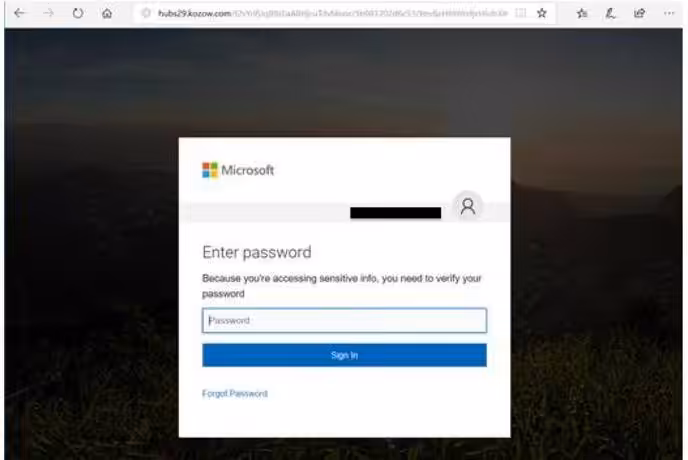 Phishing Page