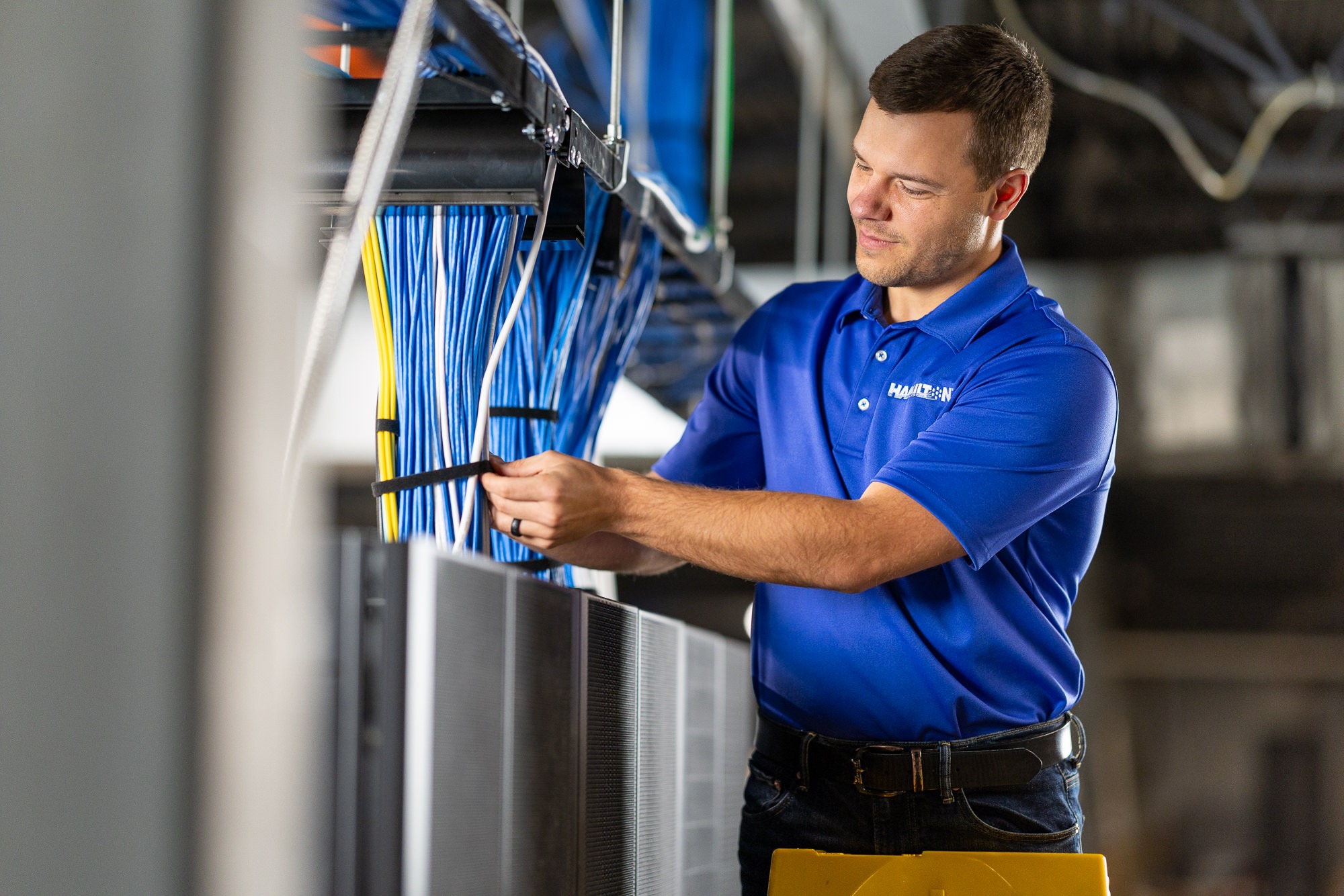 Hamilton Business Solutions Tech installing network Cabling Hamilton Business Solutions Tech installing network Cabling